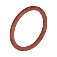 Уплотнительное кольцо из FPM 22 (ZEISSLER) (1000/10)